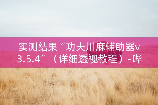 实测结果“功夫川麻辅助器v3.5.4”（详细透视教程）-哔哩哔哩