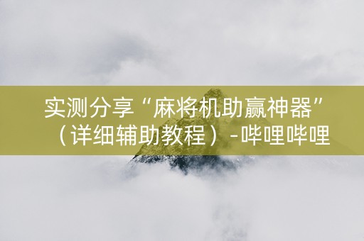 实测分享“麻将机助赢神器”（详细辅助教程）-哔哩哔哩