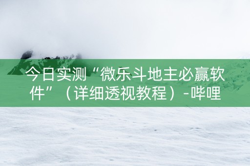 今日实测“微乐斗地主必赢软件”（详细透视教程）-哔哩哔哩