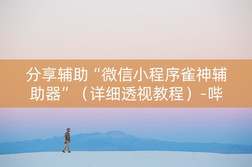 分享辅助“微信小程序雀神辅助器”（详细透视教程）-哔哩哔哩