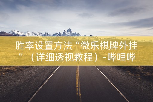 胜率设置方法“微乐棋牌外挂”（详细透视教程）-哔哩哔哩