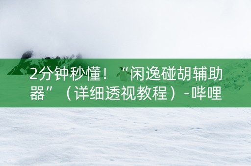 2分钟秒懂！“闲逸碰胡辅助器”（详细透视教程）-哔哩哔哩