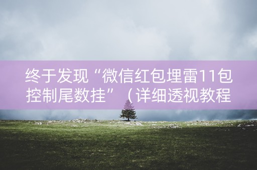 终于发现“微信红包埋雷11包控制尾数挂”（详细透视教程）-哔哩哔哩