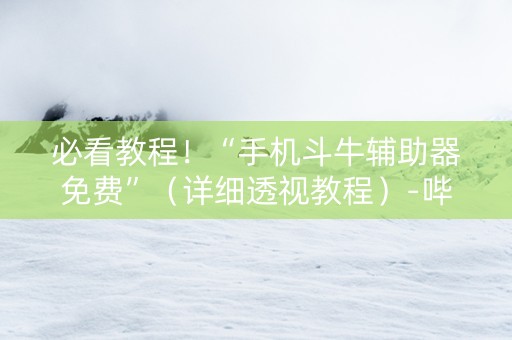 必看教程！“手机斗牛辅助器免费”（详细透视教程）-哔哩哔哩