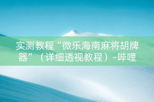 实测教程“微乐海南麻将胡牌器”（详细透视教程）-哔哩哔哩