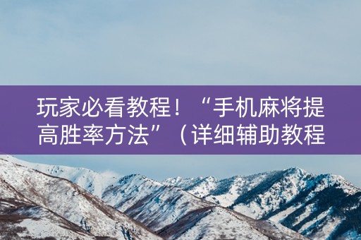 玩家必看教程！“手机麻将提高胜率方法”（详细辅助教程）-哔哩哔哩