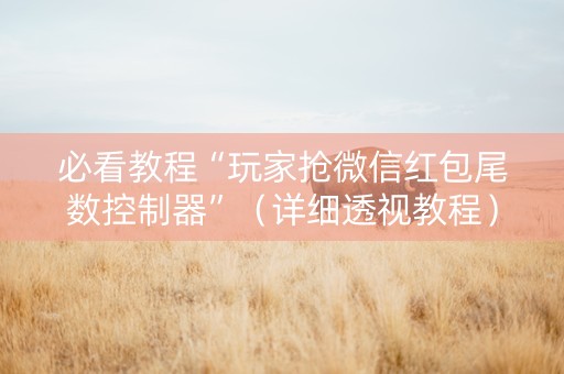 必看教程“玩家抢微信红包尾数控制器”（详细透视教程）-哔哩哔哩