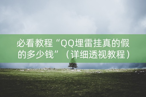 必看教程“QQ埋雷挂真的假的多少钱”（详细透视教程）-哔哩哔哩