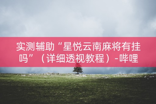 实测辅助“星悦云南麻将有挂吗”（详细透视教程）-哔哩哔哩