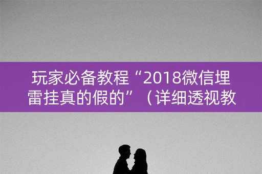 玩家必备教程“2018微信埋雷挂真的假的”（详细透视教程）-哔哩哔哩
