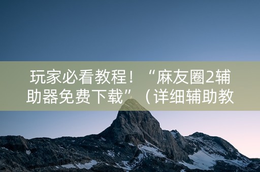 玩家必看教程！“麻友圈2辅助器免费下载”（详细辅助教程）-哔哩哔哩