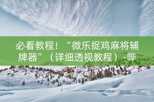 必看教程！“微乐捉鸡麻将辅牌器”（详细透视教程）-哔哩哔哩