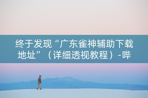 终于发现“广东雀神辅助下载地址”（详细透视教程）-哔哩哔哩