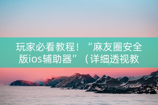 玩家必看教程！“麻友圈安全版ios辅助器”（详细透视教程）-哔哩哔哩