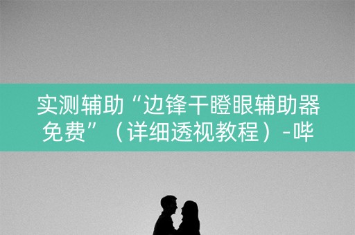 实测辅助“边锋干瞪眼辅助器免费”（详细透视教程）-哔哩哔哩