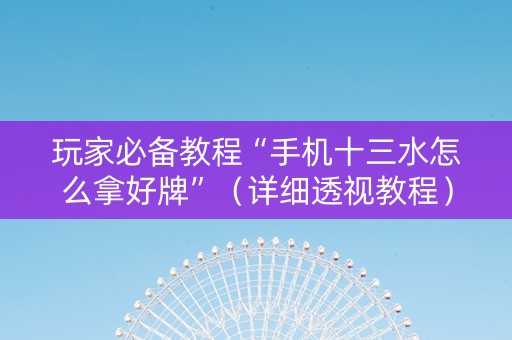 玩家必备教程“手机十三水怎么拿好牌”（详细透视教程）-哔哩哔哩