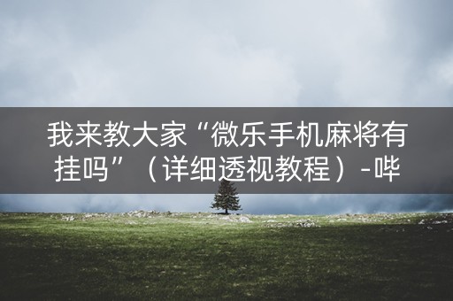 我来教大家“微乐手机麻将有挂吗”（详细透视教程）-哔哩哔哩