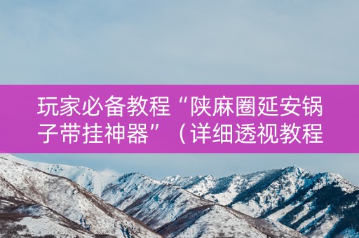玩家必备教程“陕麻圈延安锅子带挂神器”（详细透视教程）-哔哩哔哩