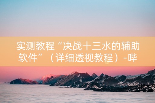 实测教程“决战十三水的辅助软件”（详细透视教程）-哔哩哔哩