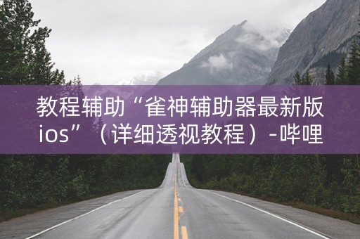 教程辅助“雀神辅助器最新版ios”（详细透视教程）-哔哩哔哩