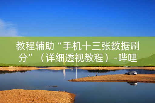 教程辅助“手机十三张数据刷分”（详细透视教程）-哔哩哔哩