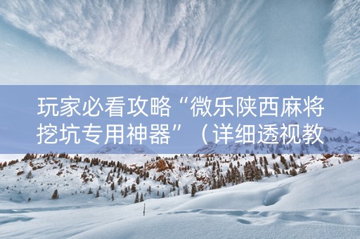 玩家必看攻略“微乐陕西麻将挖坑专用神器”（详细透视教程）-哔哩哔哩