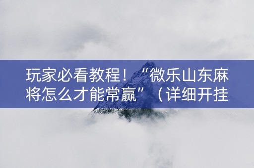 玩家必看教程！“微乐山东麻将怎么才能常赢”（详细开挂教程）-哔哩哔哩