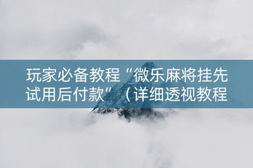 玩家必备教程“微乐麻将挂先试用后付款”（详细透视教程）-哔哩哔哩