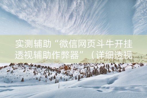 实测辅助“微信网页斗牛开挂透视辅助作弊器”（详细透视教程）-哔哩哔哩