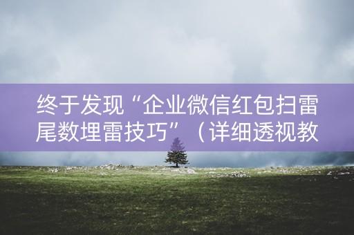 终于发现“企业微信红包扫雷尾数埋雷技巧”（详细透视教程）-哔哩哔哩