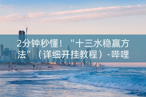 2分钟秒懂！“十三水稳赢方法”（详细开挂教程）-哔哩哔哩