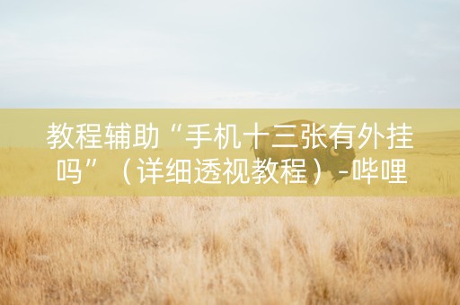 教程辅助“手机十三张有外挂吗”（详细透视教程）-哔哩哔哩