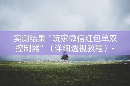 实测结果“玩家微信红包单双控制器”（详细透视教程）-哔哩哔哩