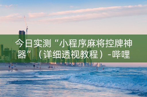 今日实测“小程序麻将控牌神器”（详细透视教程）-哔哩哔哩
