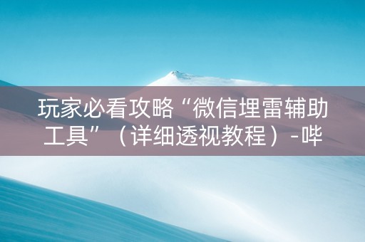 玩家必看攻略“微信埋雷辅助工具”（详细透视教程）-哔哩哔哩