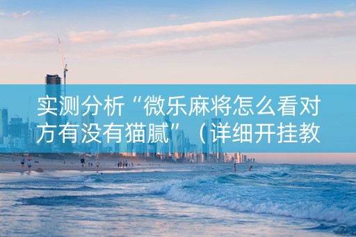 实测分析“微乐麻将怎么看对方有没有猫腻”（详细开挂教程）-哔哩哔哩