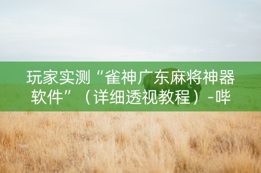 玩家实测“雀神广东麻将神器软件”（详细透视教程）-哔哩哔哩