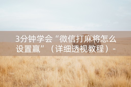 3分钟学会“微信打麻将怎么设置赢”（详细透视教程）-哔哩哔哩