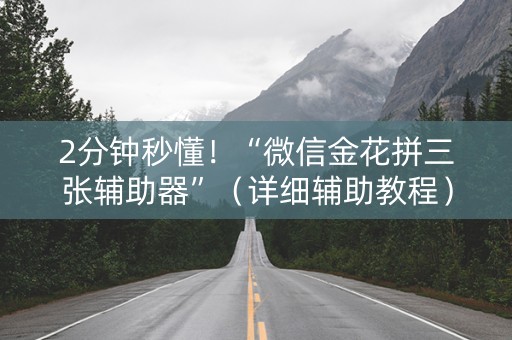 2分钟秒懂！“微信金花拼三张辅助器”（详细辅助教程）-哔哩哔哩