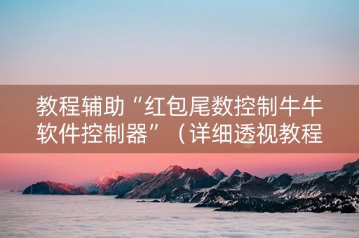 教程辅助“红包尾数控制牛牛软件控制器”（详细透视教程）-哔哩哔哩