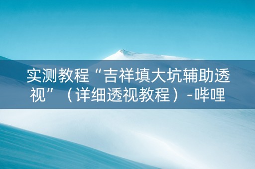实测教程“吉祥填大坑辅助透视”（详细透视教程）-哔哩哔哩