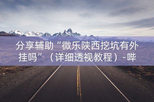 分享辅助“微乐陕西挖坑有外挂吗”（详细透视教程）-哔哩哔哩