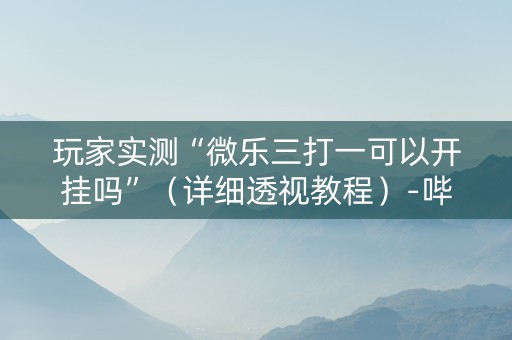 玩家实测“微乐三打一可以开挂吗”（详细透视教程）-哔哩哔哩