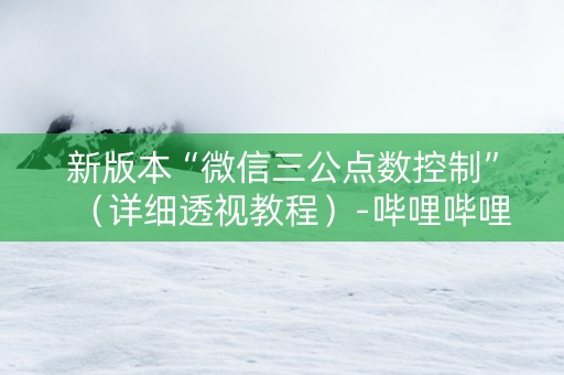 新版本“微信三公点数控制”（详细透视教程）-哔哩哔哩