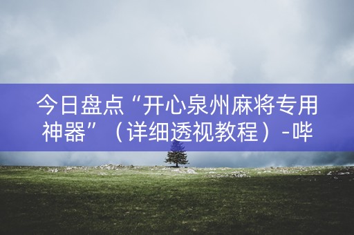 今日盘点“开心泉州麻将专用神器”（详细透视教程）-哔哩哔哩