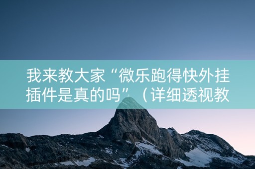 我来教大家“微乐跑得快外挂插件是真的吗”（详细透视教程）-哔哩哔哩