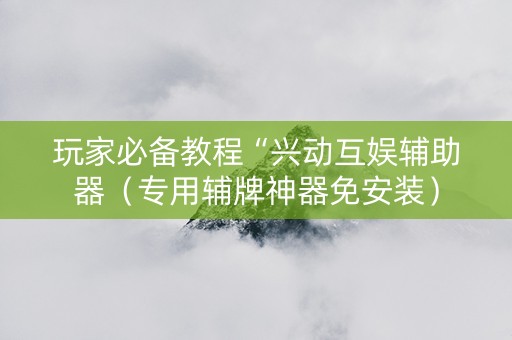 玩家必备教程“兴动互娱辅助器（专用辅牌神器免安装）