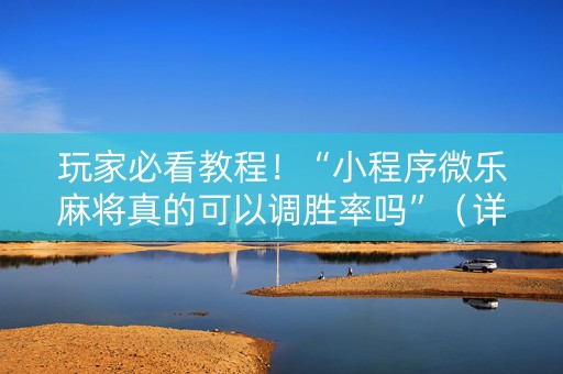 玩家必看教程！“小程序微乐麻将真的可以调胜率吗”（详细透视教程）-哔哩哔哩