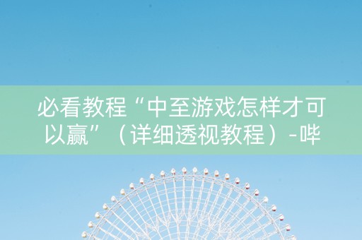 必看教程“中至游戏怎样才可以赢”（详细透视教程）-哔哩哔哩