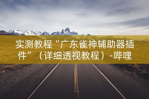 实测教程“广东雀神辅助器插件”（详细透视教程）-哔哩哔哩